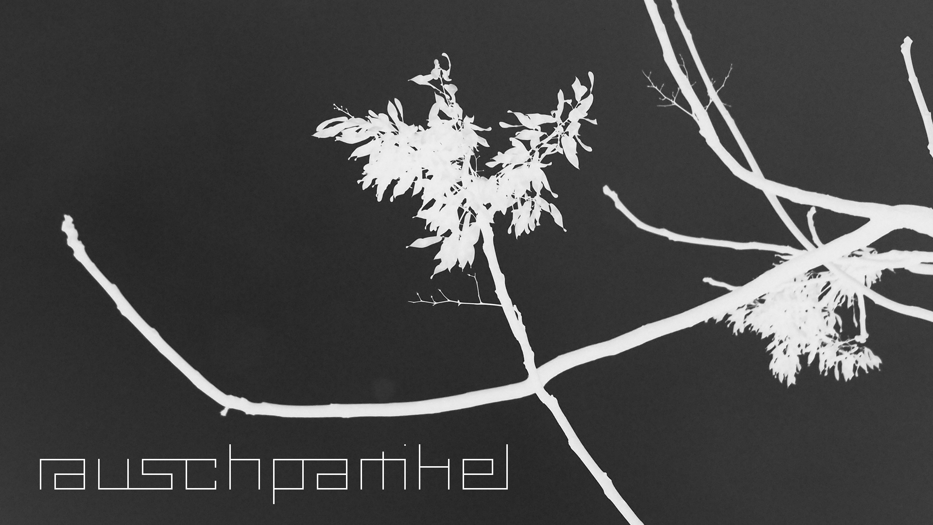 2021-01-06 - 08 Kühlgeträt (On/Off) (Remix John Cage - Empty Words IV)